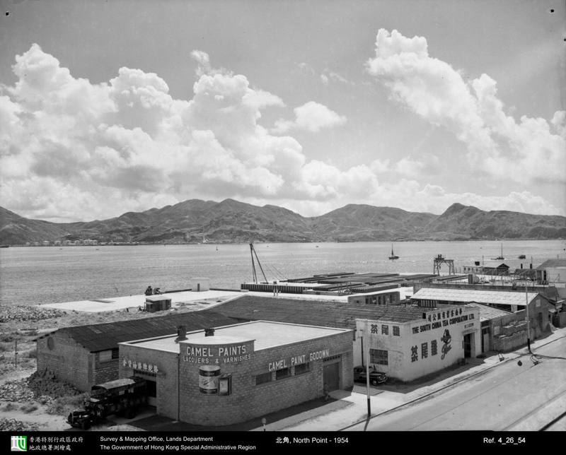 1954 photograph