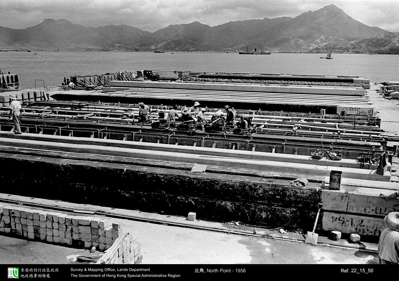 1956 photograph