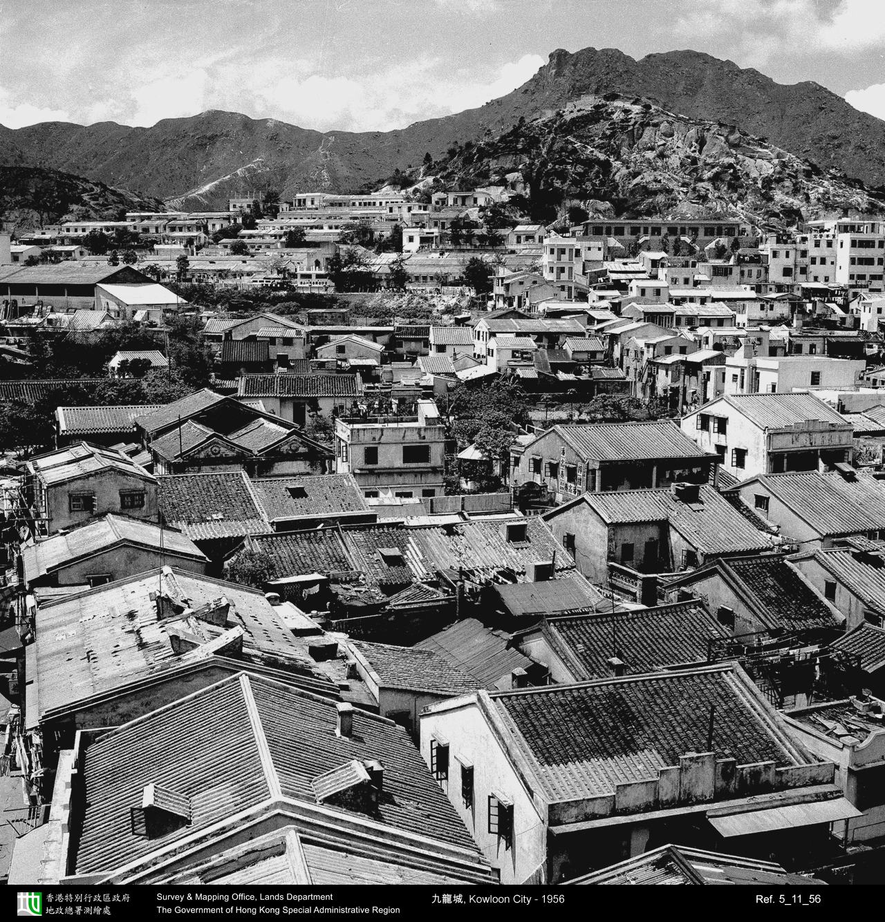 1956 photograph